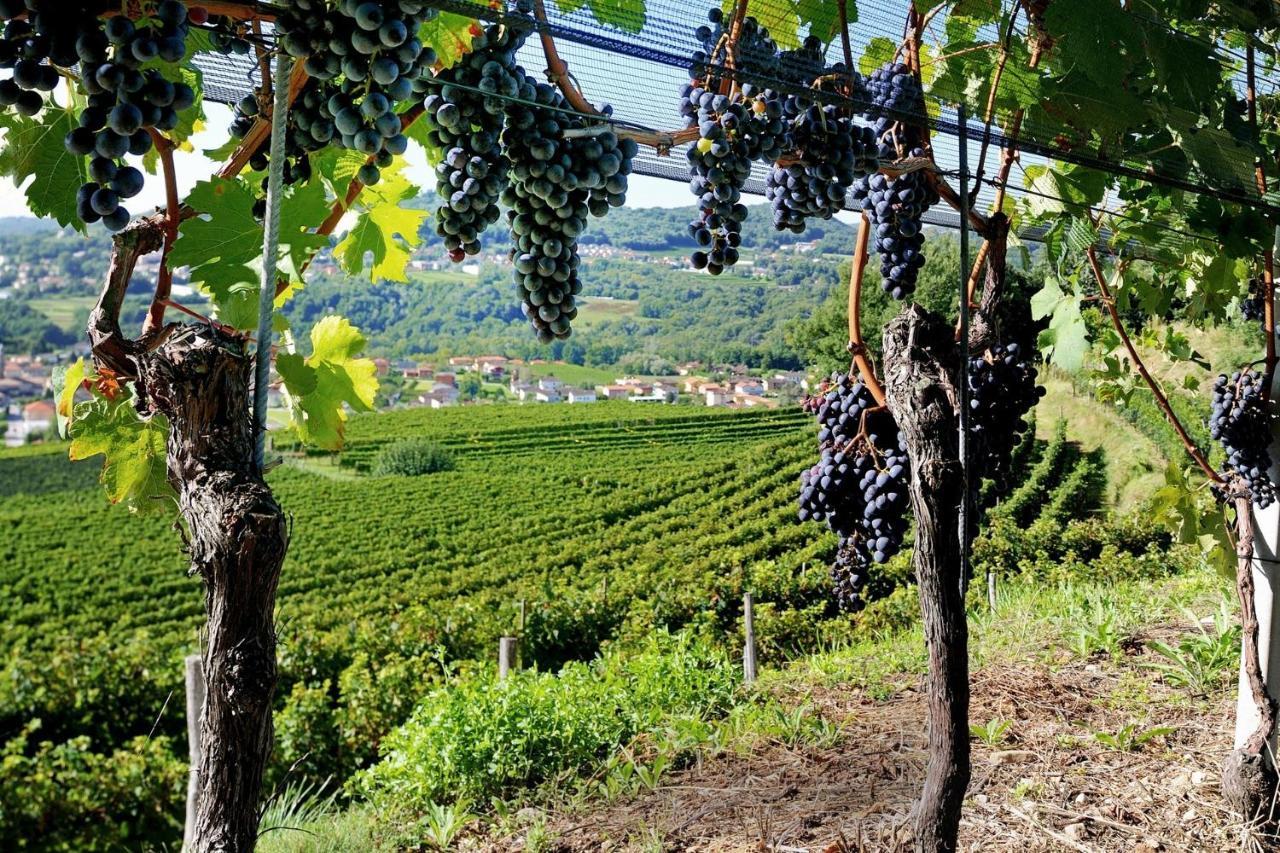 Conca Bella Boutique Hotel & Wine Experience Vacallo Ngoại thất bức ảnh